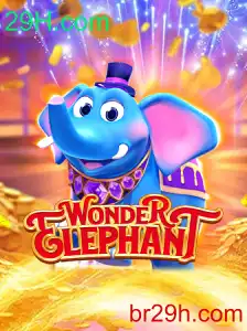 Explorando o Mundo de WonderElephant: Um Guia Completo